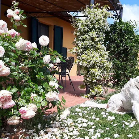 La Fattoria di Tirrenia-3